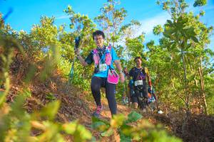 BIB: 579
                            <button type="button" onclick="openModal(21842150)" class="btn btn-primary btn-sm float-right btn-popup" data-toggle="modal" data-target=".modal-high-quality">
                        <i class="fas fa-shopping-cart"></i> Add to Cart
                    </button>
                                            <button type="button" onclick="isThisMe(21842150, true)" class="btn btn-success btn-sm float-right btn-popup btn-isme hidden" data-toggle="tooltip" data-placement="bottom" title="นี่คือรูปของคุณใช่ไหม คลิกที่นี่เพื่อเอาเข้าอัลบั้ม">
                        <i class="fas fa-plus"></i> Add to album
                    </button>
                    <button type="button" onclick="isThisMe(21842150, false)" class="btn btn-warning btn-sm float-right btn-popup btn-isnotme hidden">
                        <i class="fas fa-ban"></i> Remove from album
                    </button>